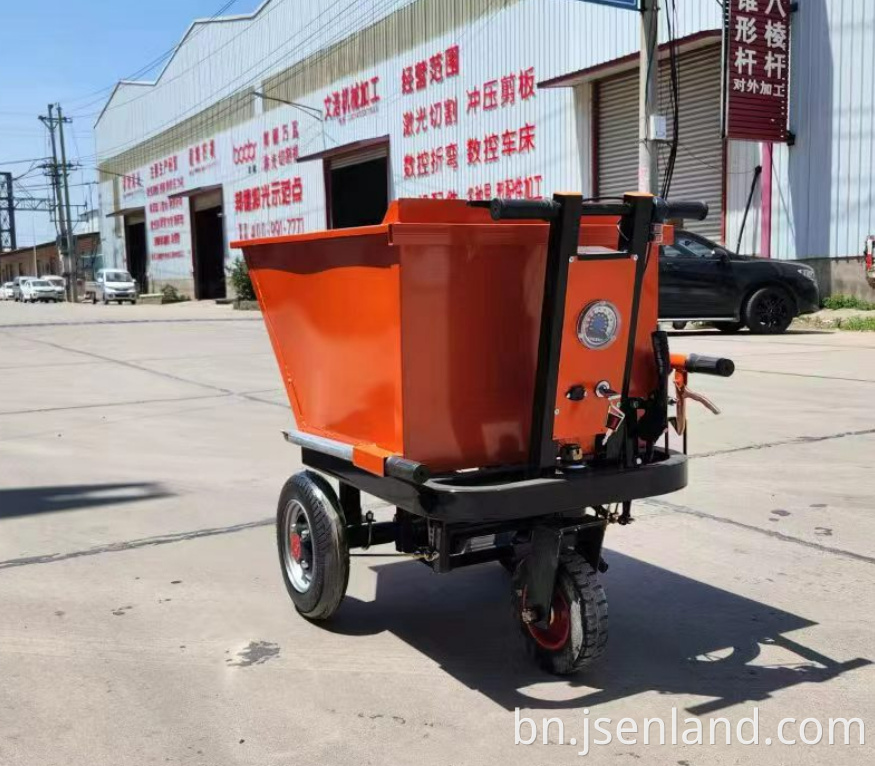 Custom Color Electric Tricycle